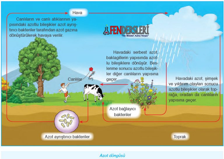 fen-dersleri-fen-bilimleri-dersi-online-retimi-sitesi-testler